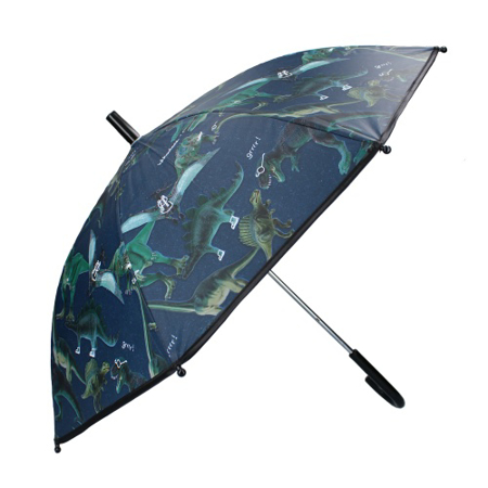 Photo de Disney's Fashion® Parapluie enfant - Don't Worry About Rain
