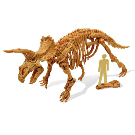 Buki® Kit de fouille de squelette de dinosaure Triceratops