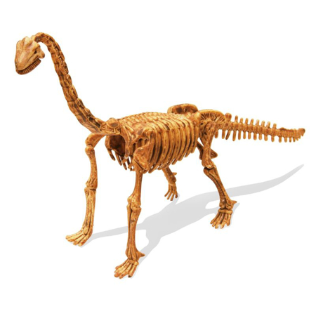 Photo de Buki® Kit de fouille de squelette de dinosaure Brachiosaurus