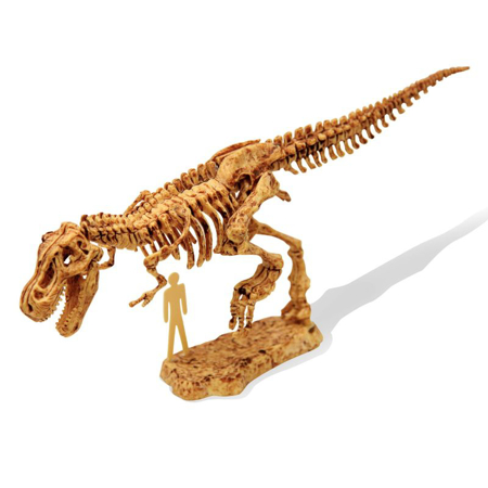 Buki® Kit de fouille de squelette de dinosaure Tyrannosaure