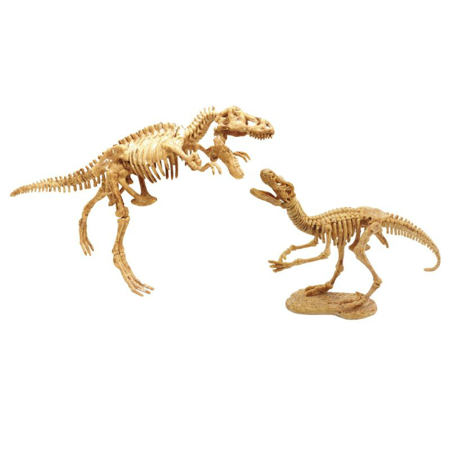 Photo de Buki® Kit de fouille de squelette de dinosaure