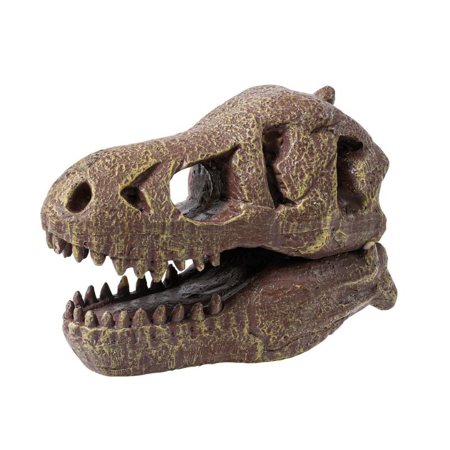 Photo de Buki® Crâne de dinosaure - Tyrannosaurus